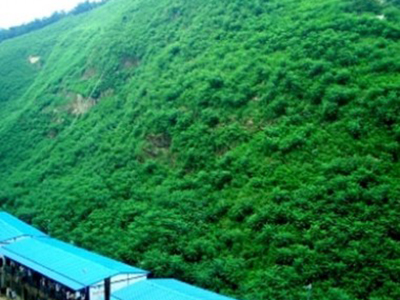 客土噴播綠化 客土噴播綠化 - 安平縣佰泰金屬絲網(wǎng)制品有限公司