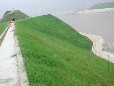 客土噴播邊坡綠化施工 客土噴播邊坡綠化施工 - 安平縣佰泰金屬絲網(wǎng)制品有限公司
